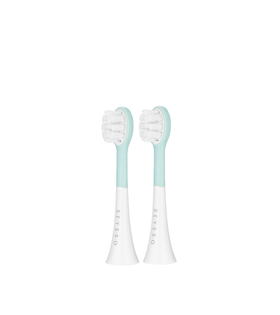 SEYSSO Kids Dinosaur Sonic Toothbrush Tips for Kids
