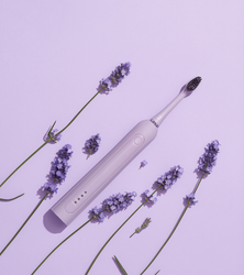SEYSSO Basic Color Lavender Sonic Toothbrush